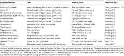 Maybe It's Not the Meth: Considering Biopsychosocial Contributors to Cognitive Impairment in Methamphetamine Polydrug Use